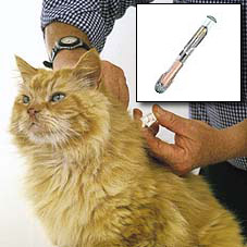 microchipping