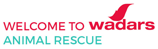 welcome to wadars animal rescue